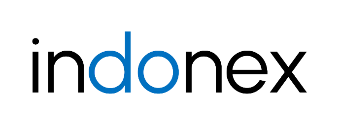 Logo indonex AG